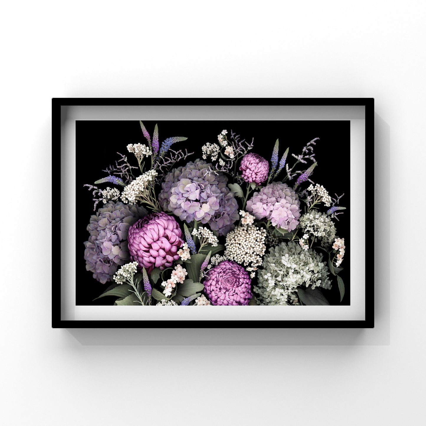 Hydrangea