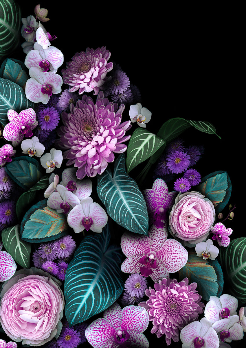 Orchid