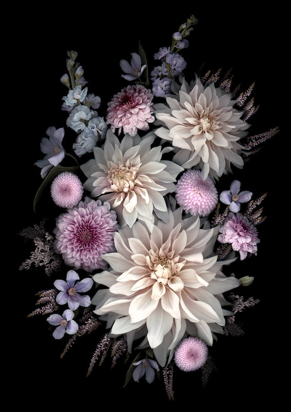 Dahlia